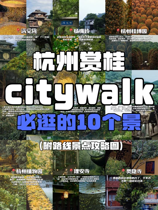 杭州赏桂citywalk | 10个必逛的桂花景点