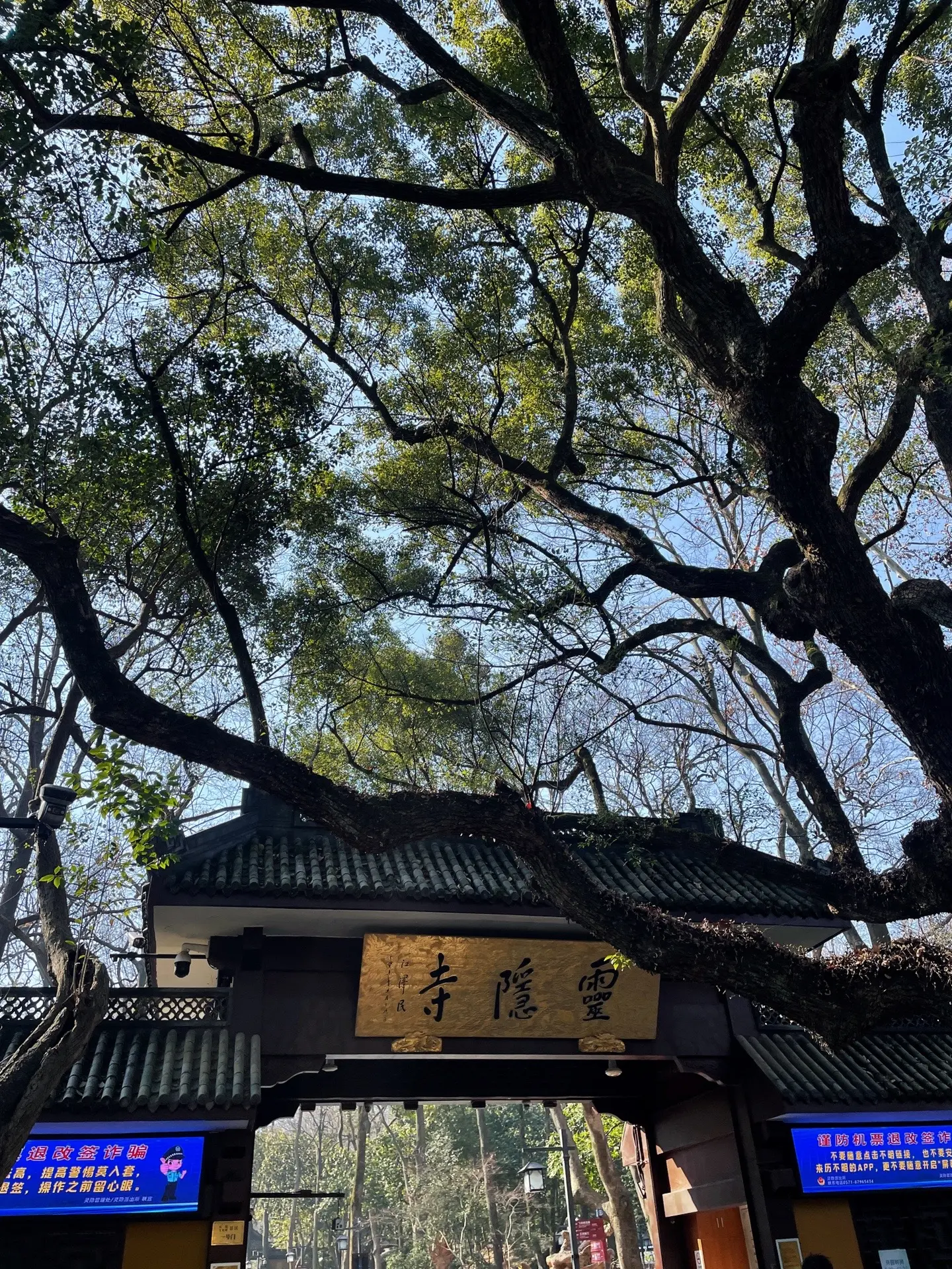 福由心生，善由心养