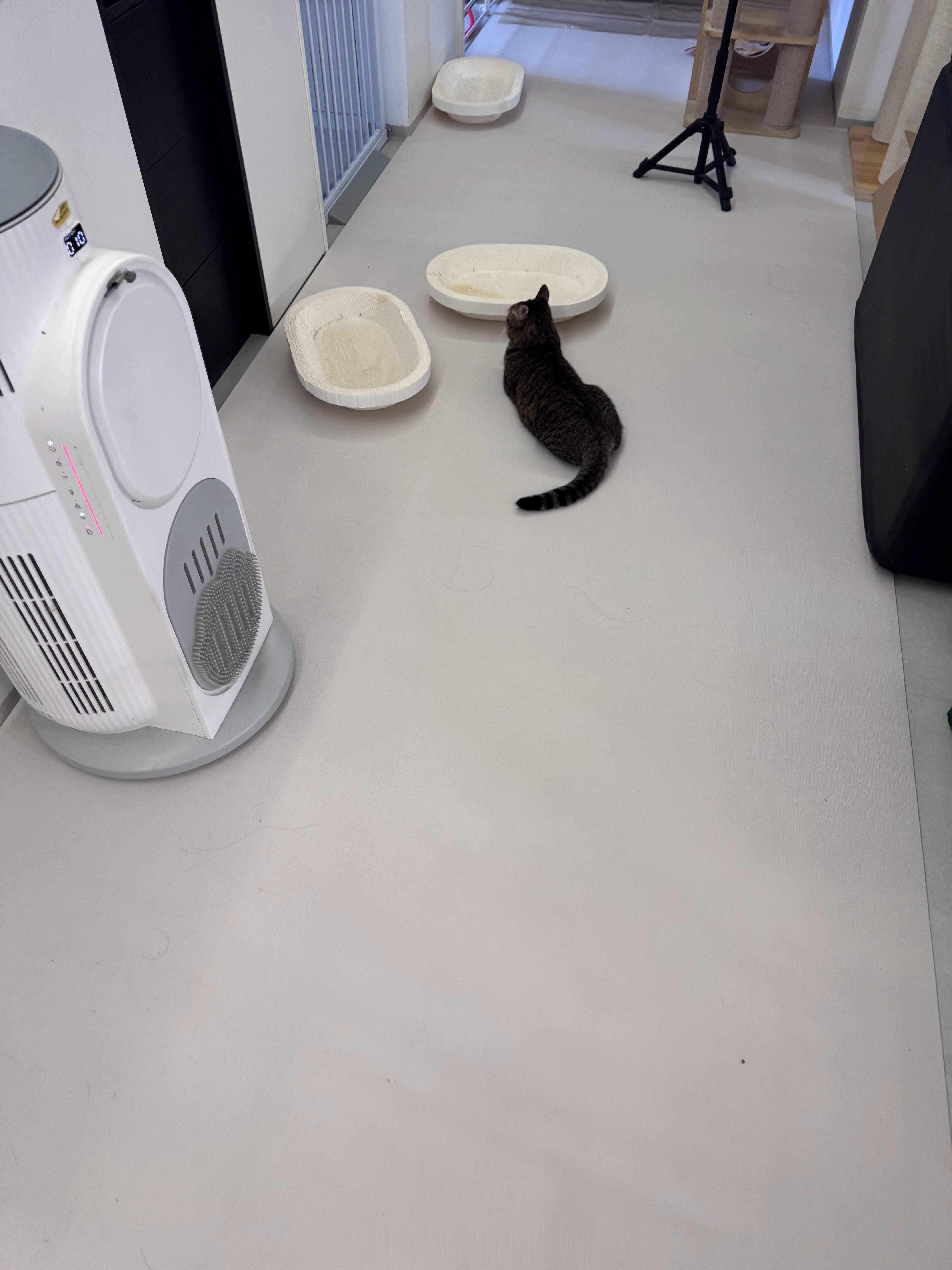 天地一小屎 