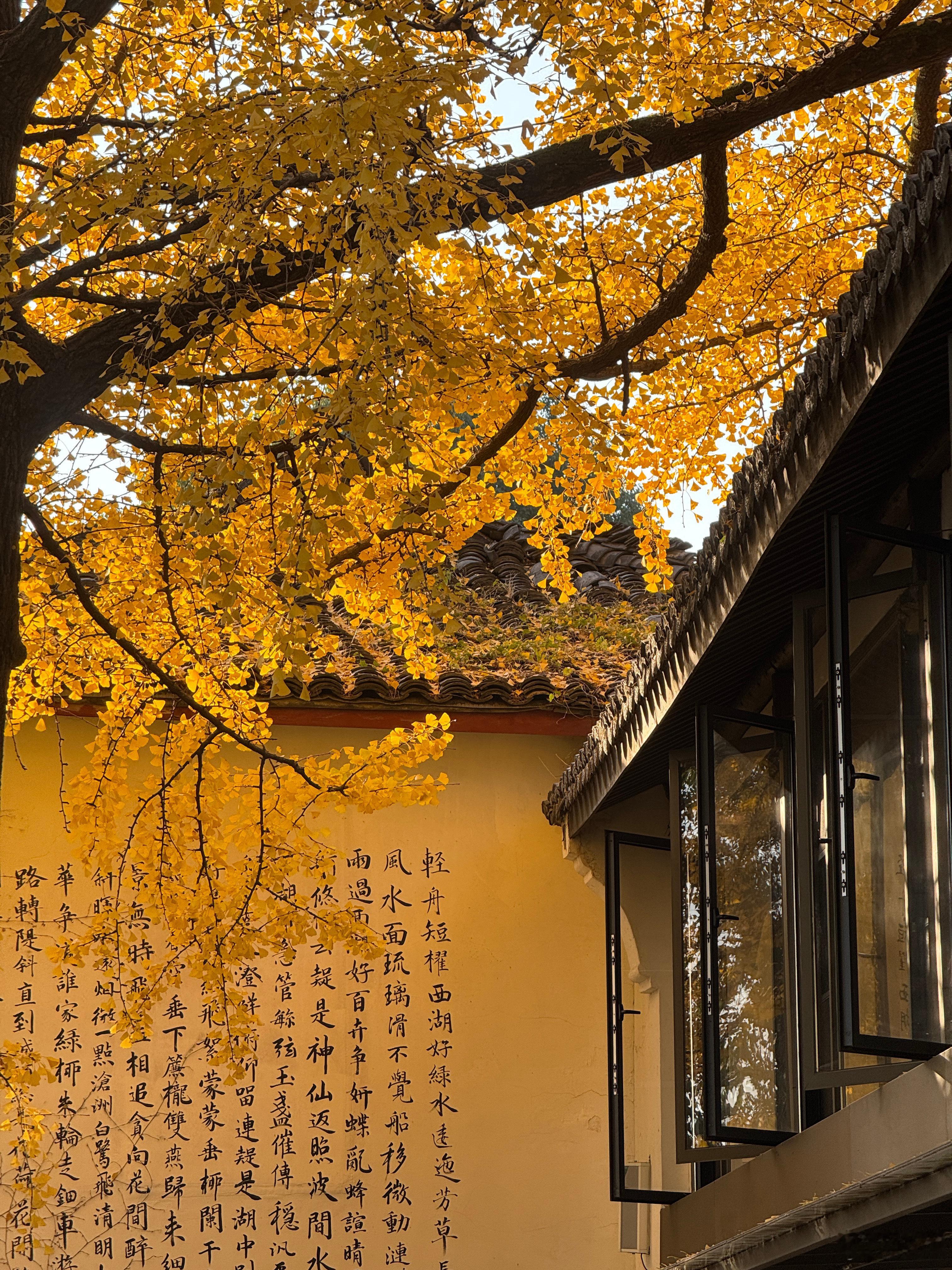 蠢人做事很容易招笑大家可以品味一下，一般蠢人办蠢事的时候都是想要“表现”的时候要