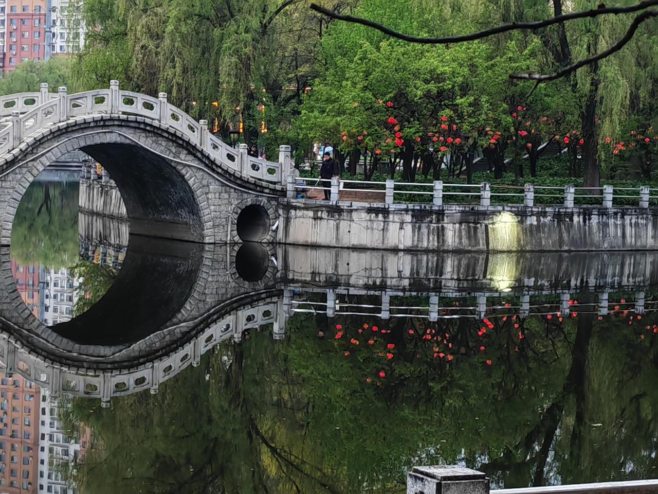 日落后的湖景实在漂亮，
你看绿叶红灯，
倒映水中，
还有拱桥和高楼，
竟然构成一