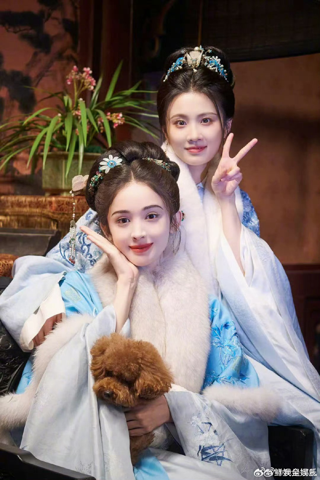 娜扎为张慧雯浪姐宣传娜扎为张慧雯浪姐打call乘风2026定档美女和美女贴贴娜扎