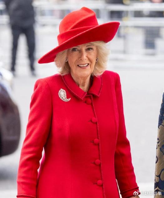 查尔斯三世嫌弃自己的妻子是个“壮汉”，偏爱又老又丑，全身下垂的卡米拉。戴安娜王妃