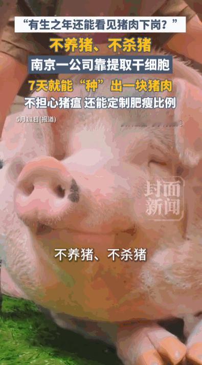 “有生之年还能看见猪肉下岗?”，据媒体5月11日报道，南京国家农高区里头，有一家