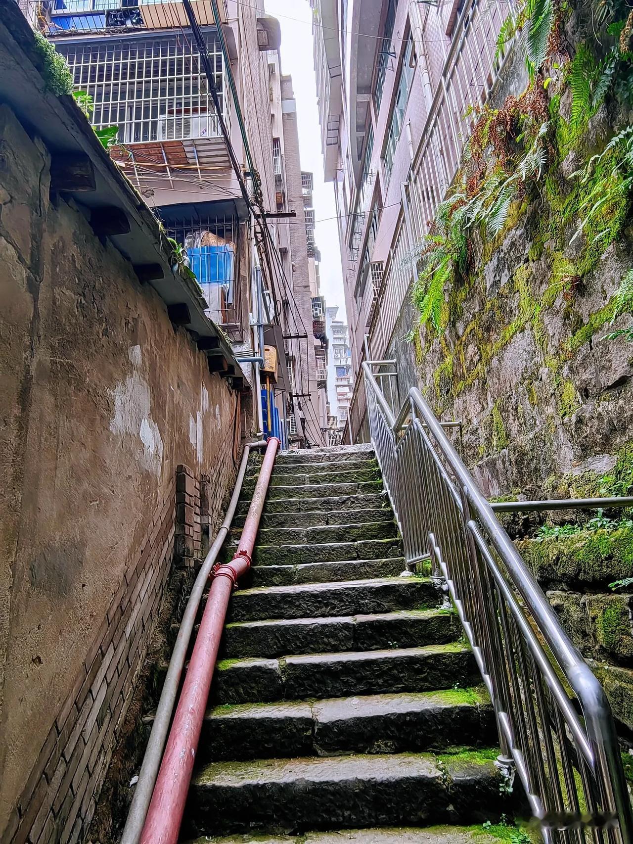 寒冬，我来到万州区西山路、望江路、偏石板，沿着陡峭的山路，登石梯、穿小巷，儿时的