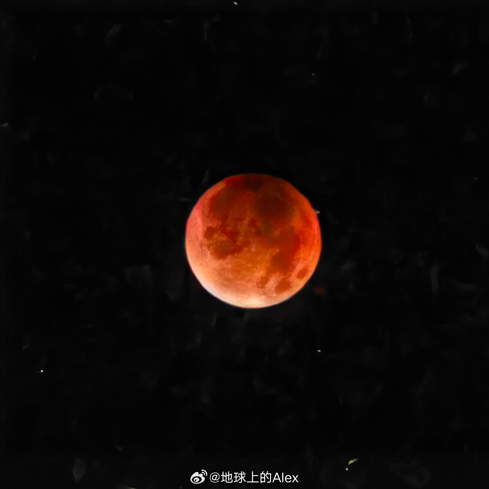 意满离 ​​​