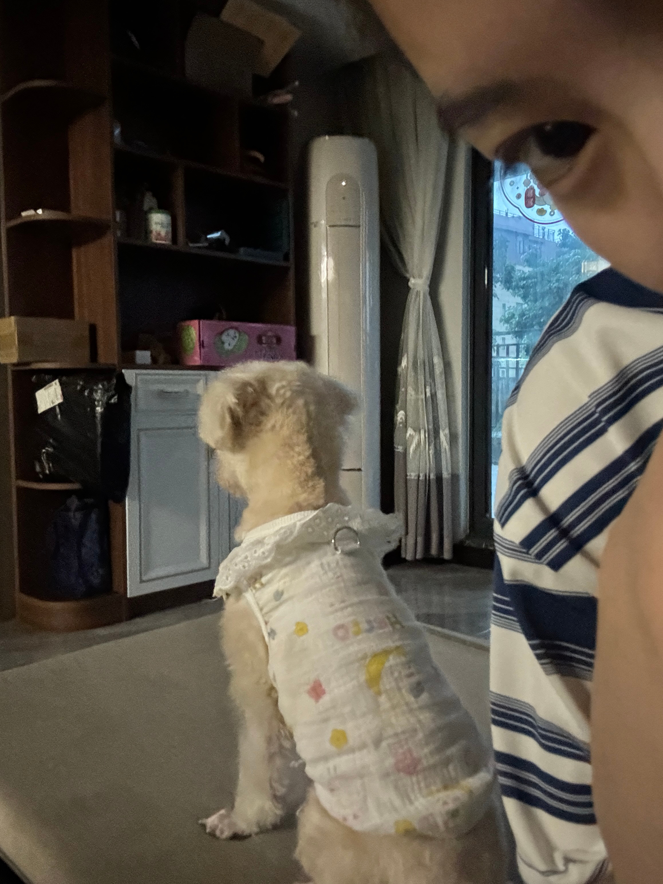 小薯条 我们以后都一直都在一起好不好 