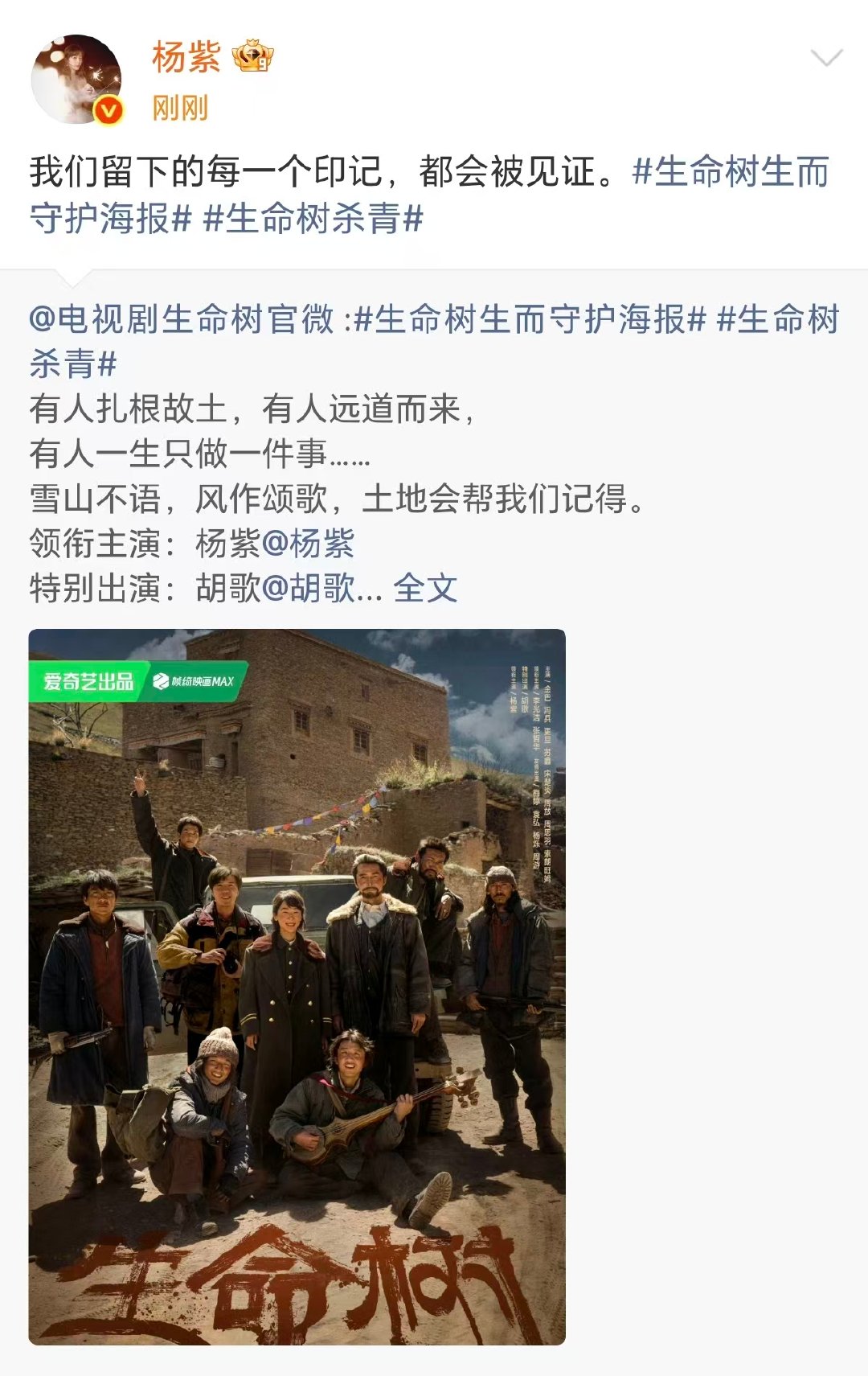 杨紫生命树杀青了 杨紫白菊留下的每一个印记都会被见证用脚步丈量信仰，用生命守护净