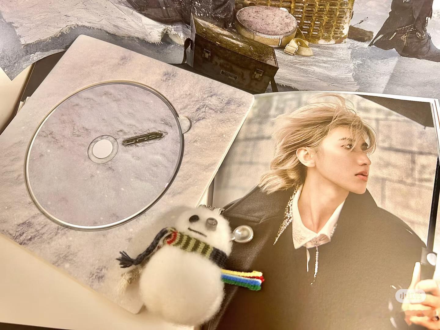 这两张甚至让我幻视wonderland杂志内页。美人金发在深秋的风中摇曳。那个传