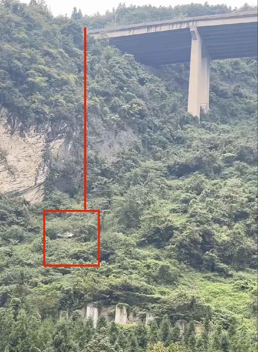 泸州新车百米坠崖车主仅轻伤！
救了一命！打算再买同款车！
据报道吉利领克，还很幸