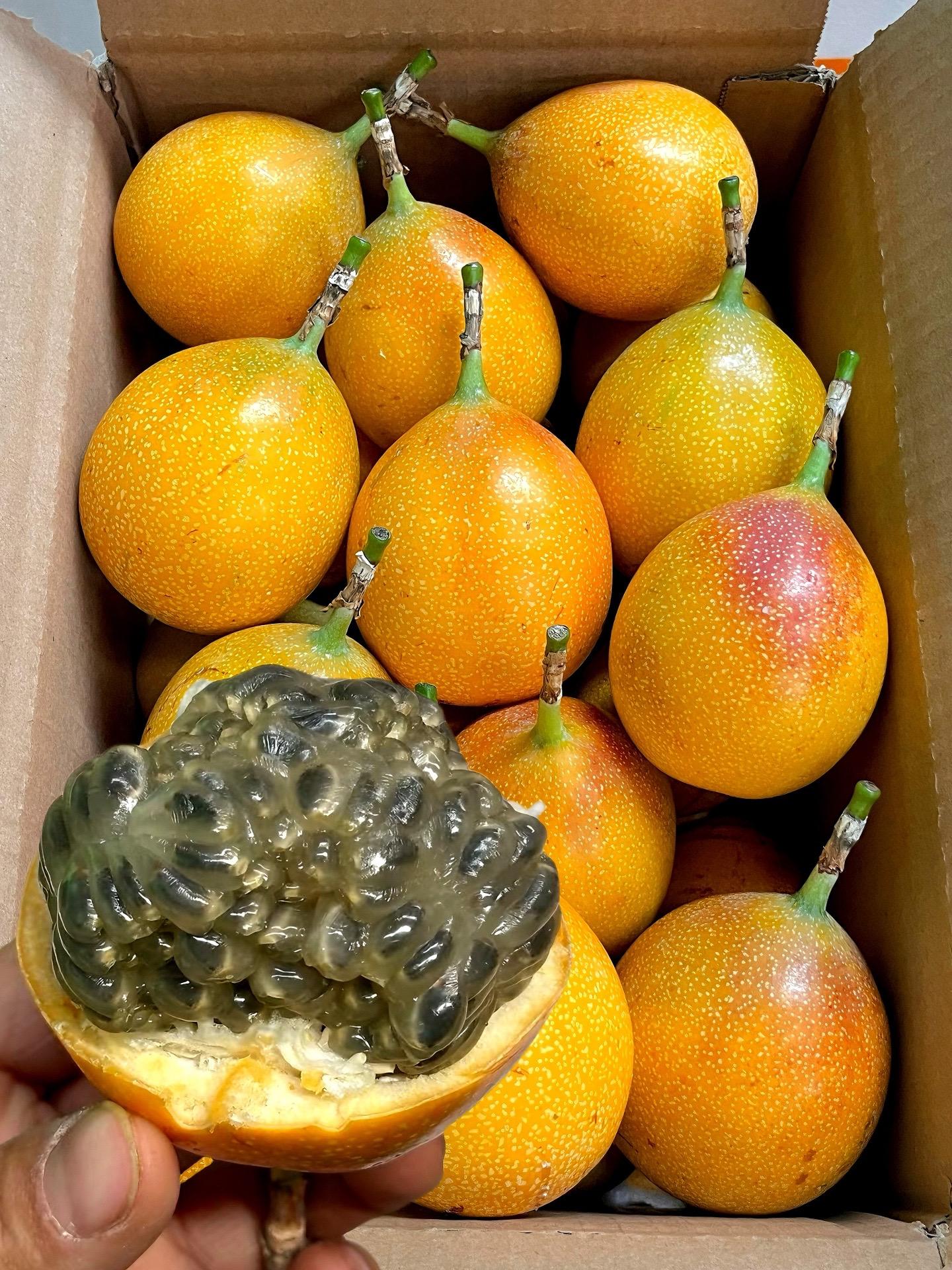 这个水果比车厘子还要高贵！就是被誉为水果中的贵族！ 甜如蜂蜜的热情果你...