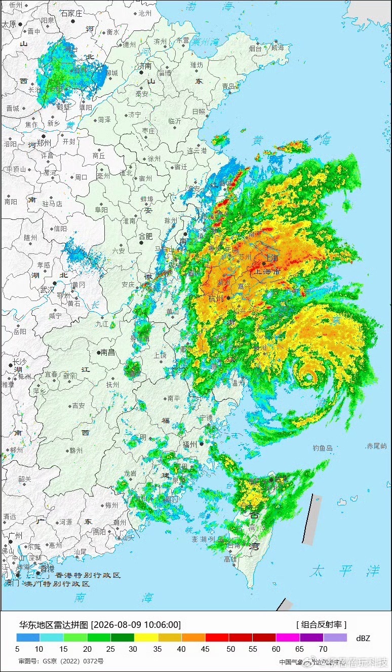 白海豚提前登陆浙江的小伙伴要注意安全，台风天非必要不出门 