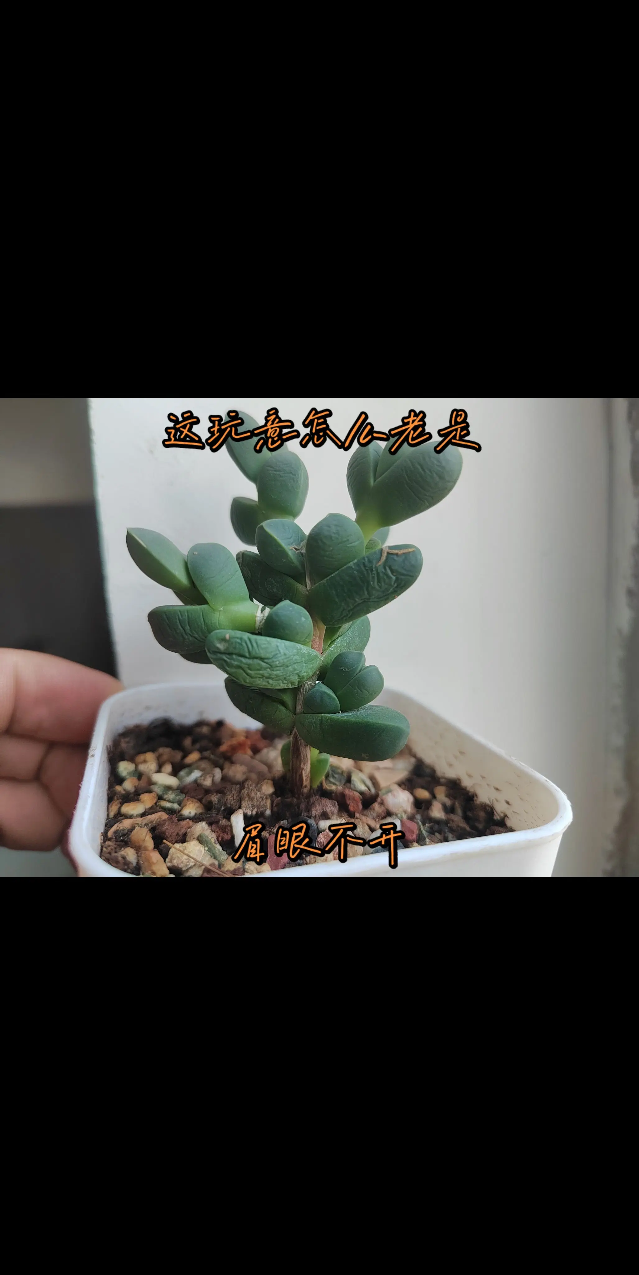 他怎么看起来老是不开心