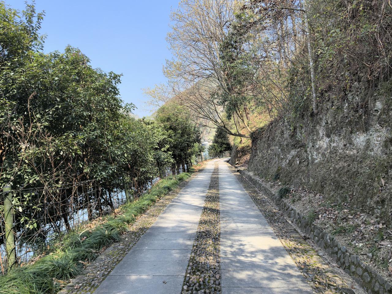 我们走在名画里的山水中
      晨起，走在新安绿道—七里扬帆段，我们看着阳光