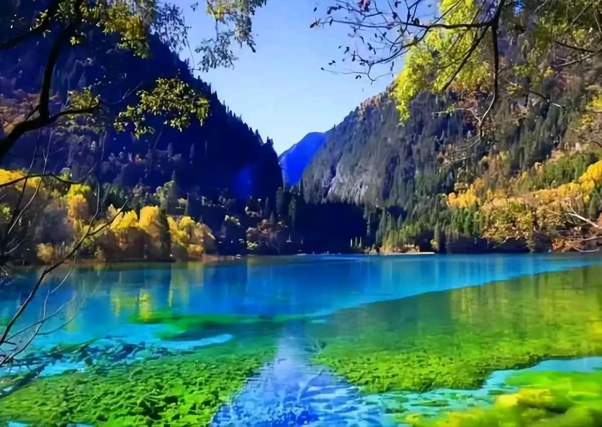 幽思无尽，书不尽别绪愁肠，流年似水，载不动执念满腔。
     余生向暖，为己奔