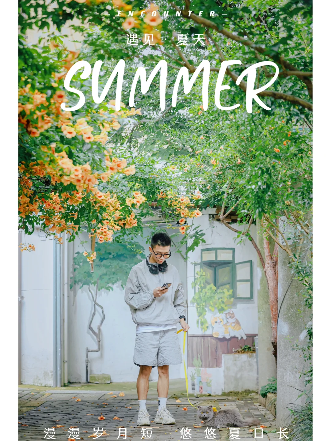 哦莫‼️苏州这里的猫咪🐈凌霄花小巷太可🧡了