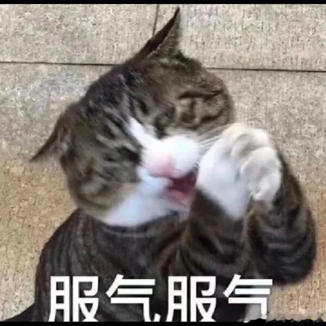 迪丽热巴李慧珍下沉口碑谁给买的黑热搜，目的不要太明显，破坏金鹰节的口碑，捆绑含金