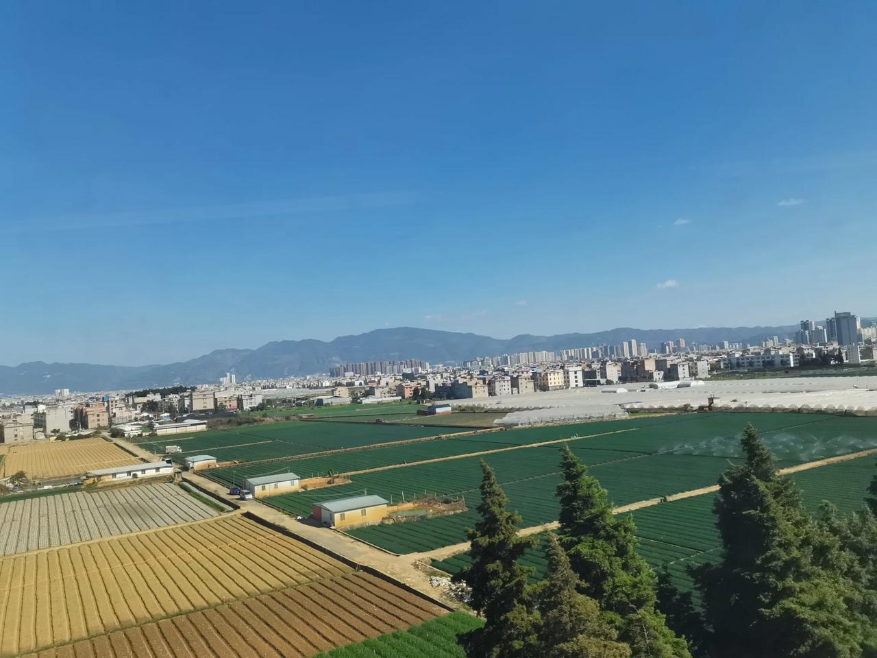 克非到了西双版纳，不仅仅是呼吸西双版纳热带雨林得天独厚的空气，也喝来自海拔五千多