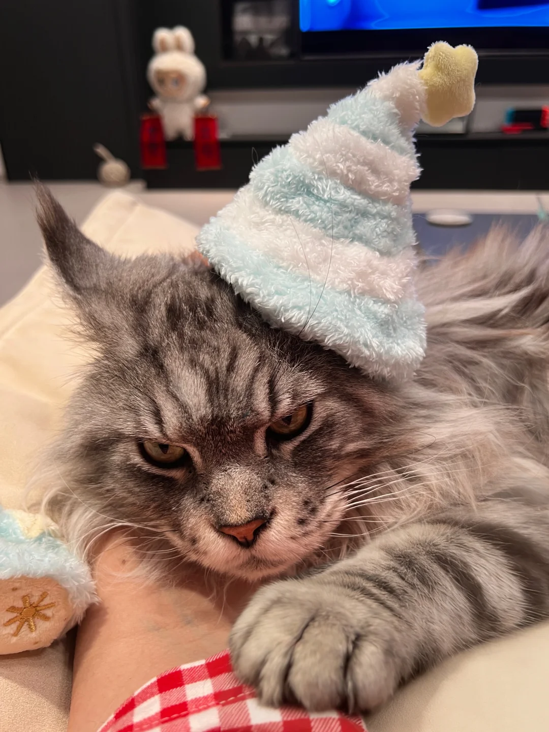 猛男根本不喜欢可爱的