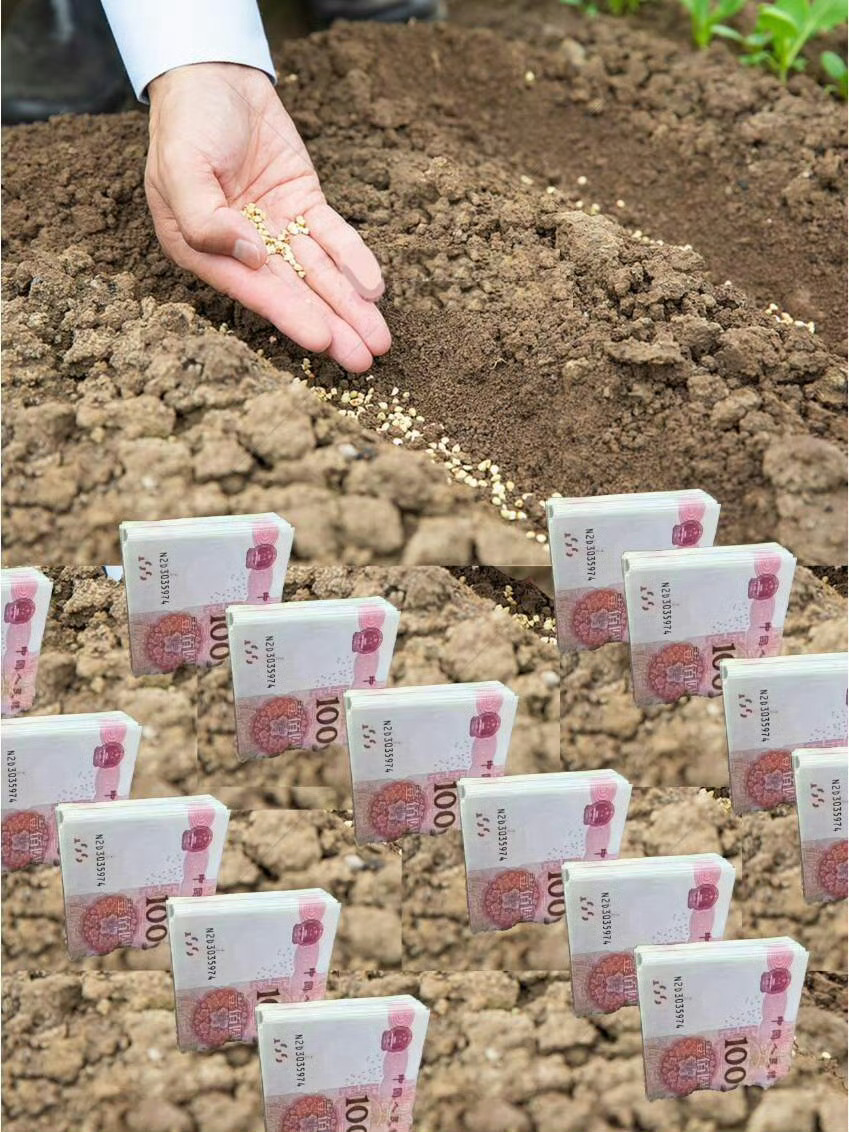 接！你花出去的钱会十倍百倍的流向你💰 