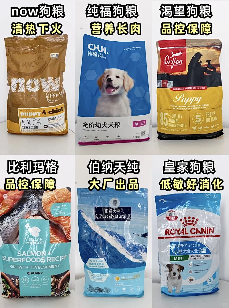幼犬到家狗粮到底怎么选|狗粮推荐