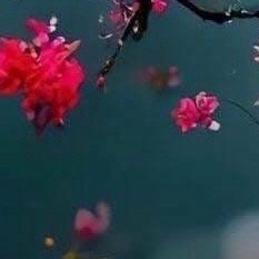 早安早安 宛如春风吹醒了嫩芽，真心的鼓励融化冰冻的心，使人振奋。鼓励是最大的苏生