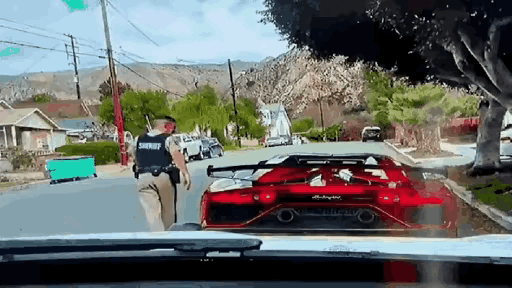 国外叔叔路边检查违规跑车，当叔叔伸长脖子去查看驾驶位时，突然被车门给击杀了，这起
