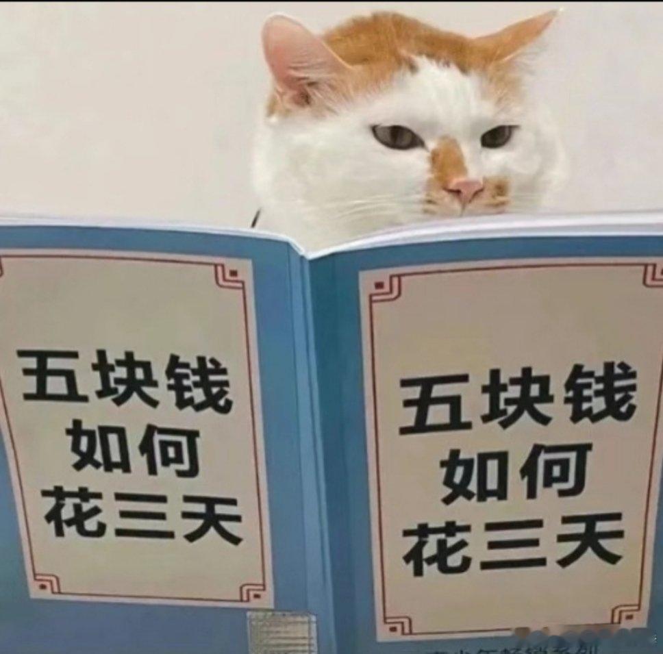 罗正一年花170有146都给了苹果，剩下的吃喝拉撒啥的只有24块钱真的厉害，史上