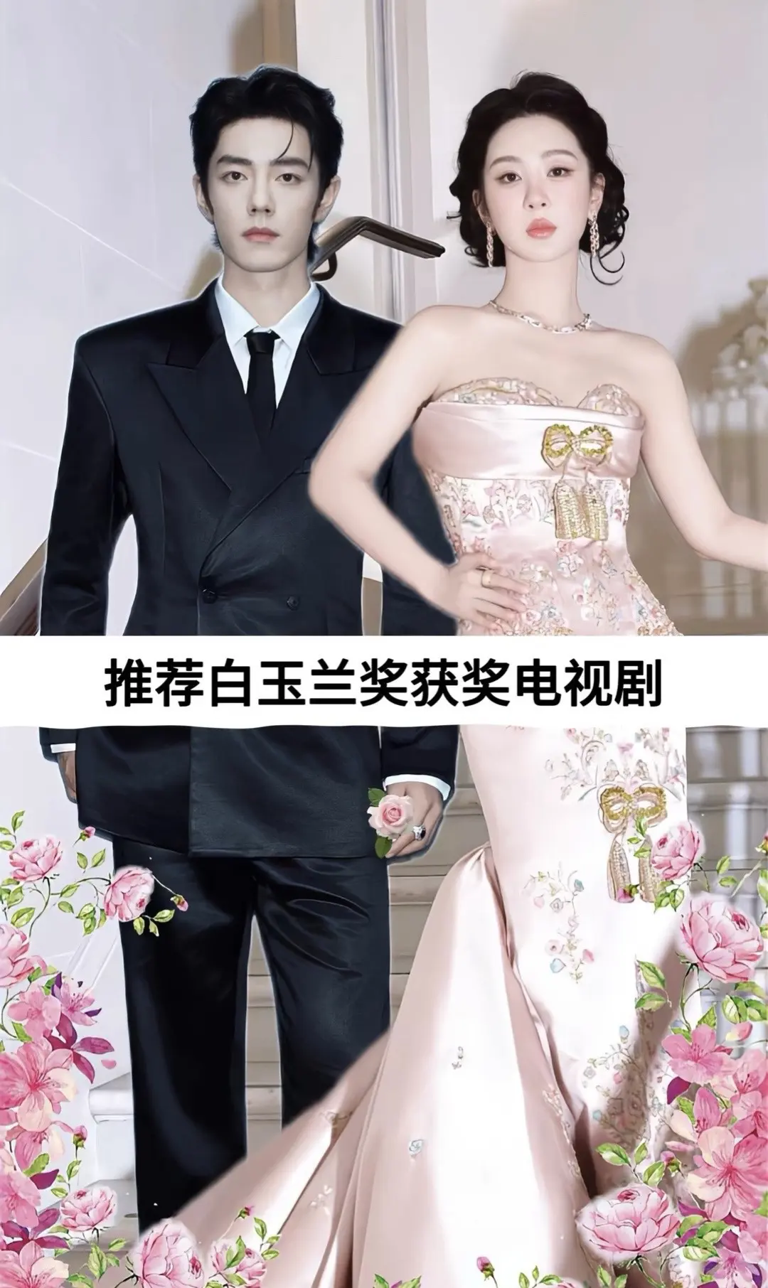获白玉兰奖的电视剧。