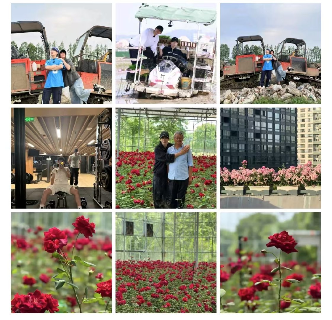 鹭卓近期种地碎片 鹭卓邀请师傅来瞧瞧今年的收成 近期种地碎片[好喜欢][好喜欢]