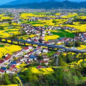 跟我去旅行吧！