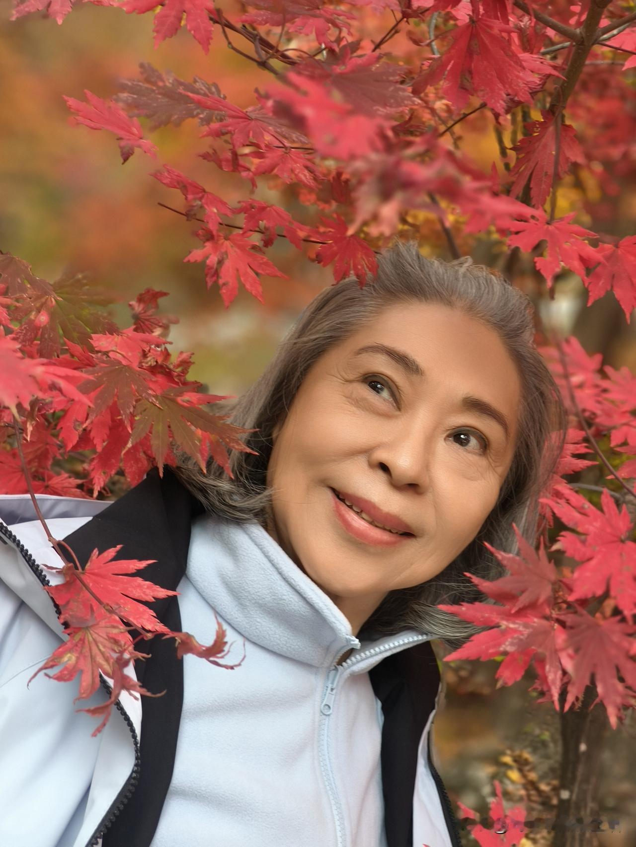 晒一张最美的枫叶照片桓仁枫林谷枫叶浅层到深层层叠叠