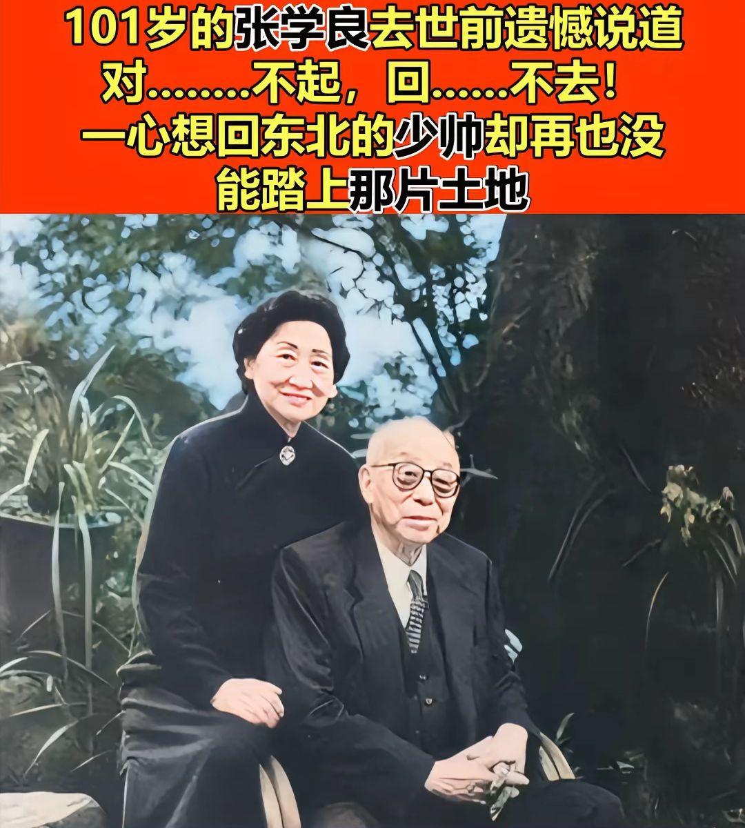 对不起。东北