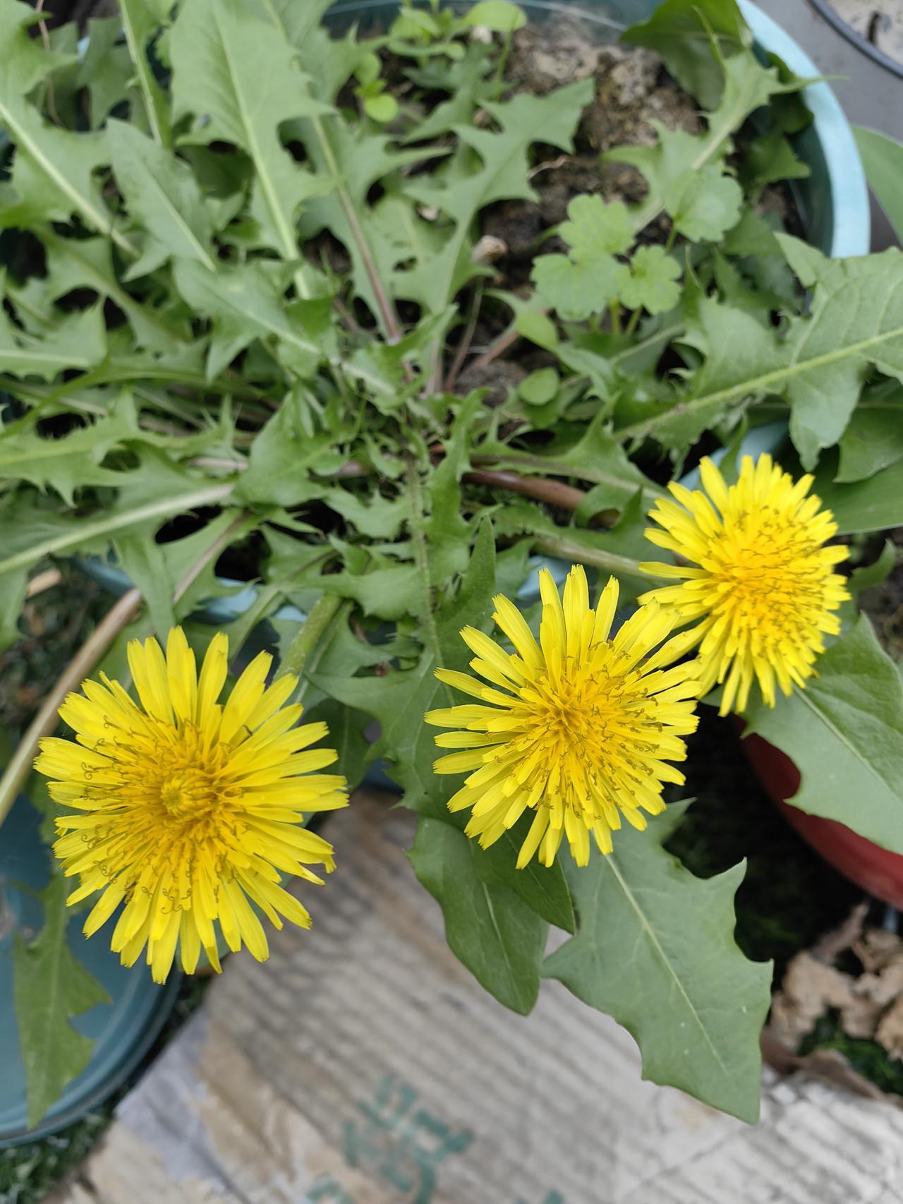 现在的工作有一个好处
就是越来越接地气
以前都是在写字楼里，办公楼里，虽然里面种