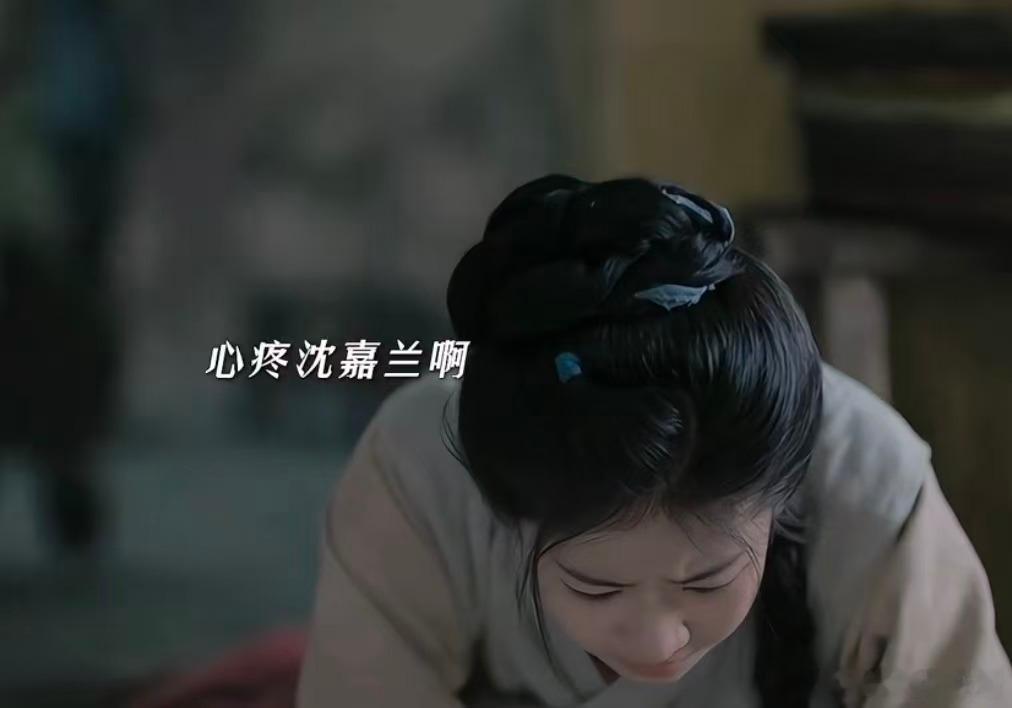 儿女弥补了沈嘉兰林锦岐的遗憾年少的他们被世事推着错过很多相处的机会，林锦岐心里一