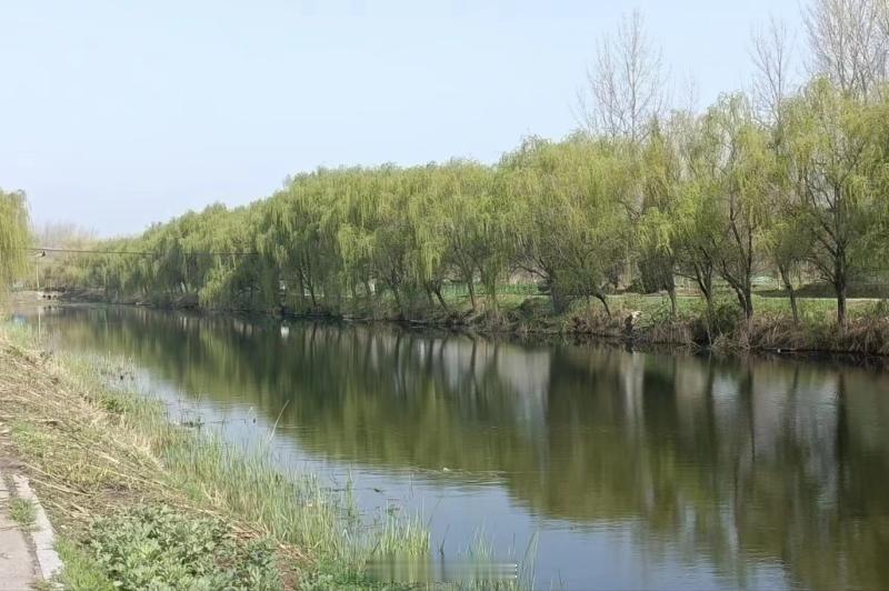 大运河中国大运河 淮北濉溪隋堤旅游景区，你是几A级景区说的真好，做的怎么样隋堤旅