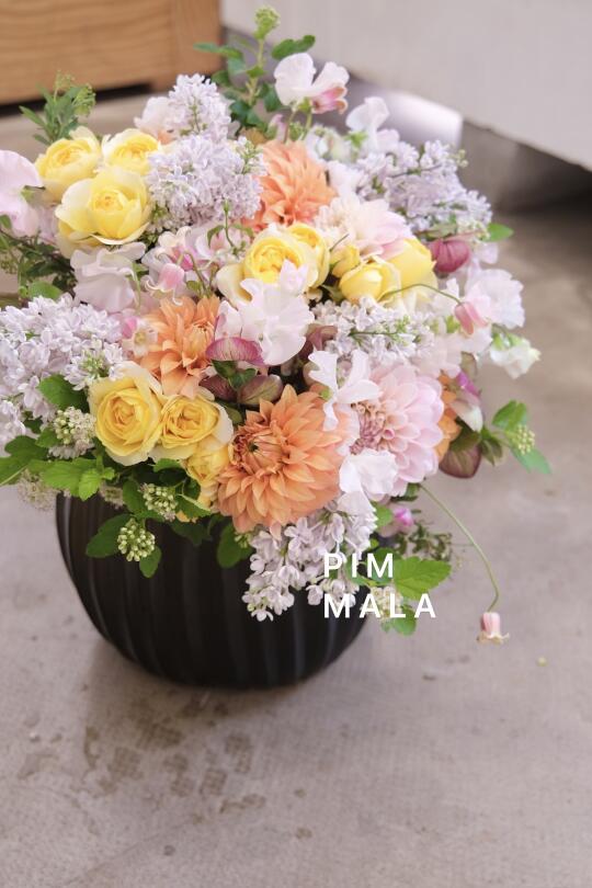 PIMMALA｜这是献给雨天的春花