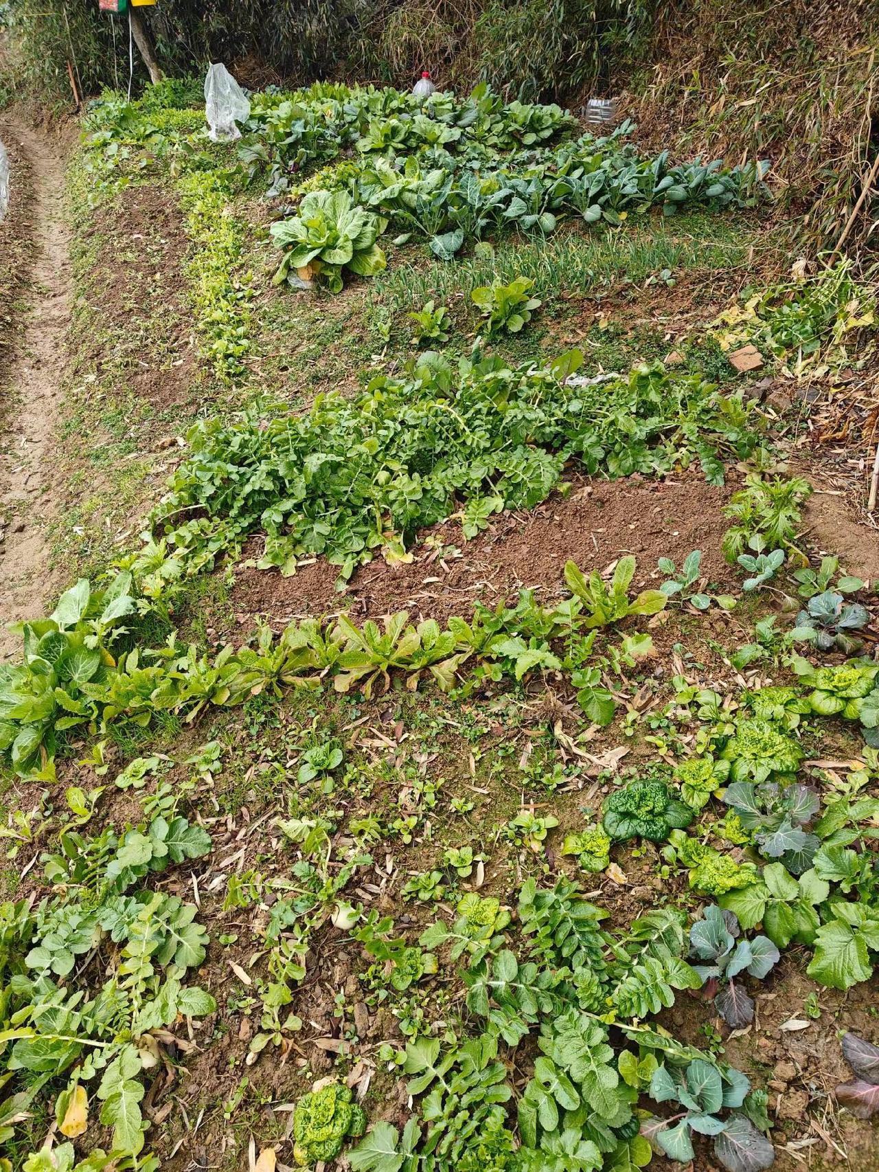 如果有一天我消失不见，谁会满世界找我一遍？