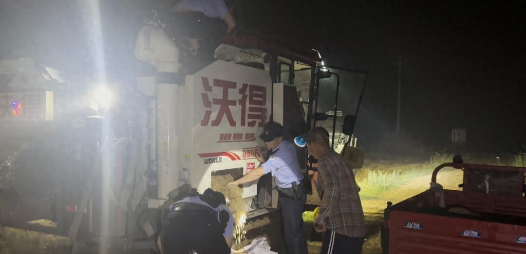 凌晨1点，湖北一派出所所长，带人徒手扒小麦…… 

夜里一点，田野黑得发沉，只有