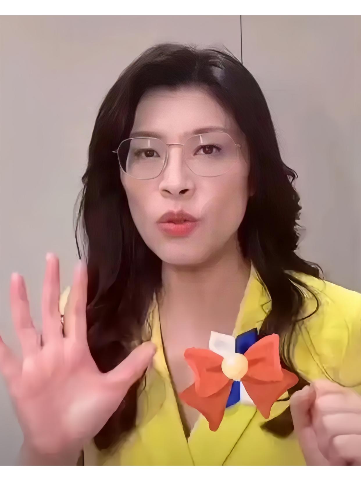 台北的icon郑丽文今天在细雨中与驻台代表会面，她的言论也随即被媒体追访

郑丽