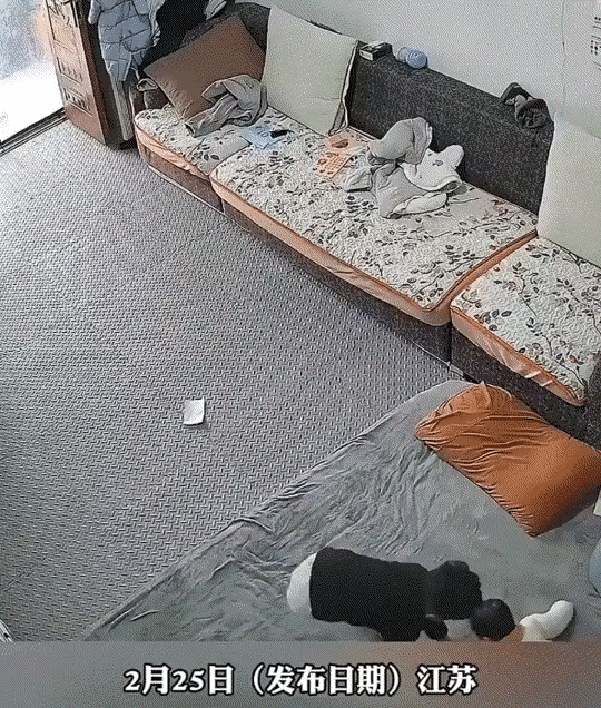 江苏有位妈妈出门前，嘱咐大儿子好好照看还不会走路的妹妹，让他一定要寸步不离。
结