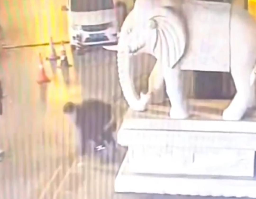 拍照留念，非要找个特别满意的位置和角度才肯罢休，结果惹祸了吧！
前不久，河北沧州