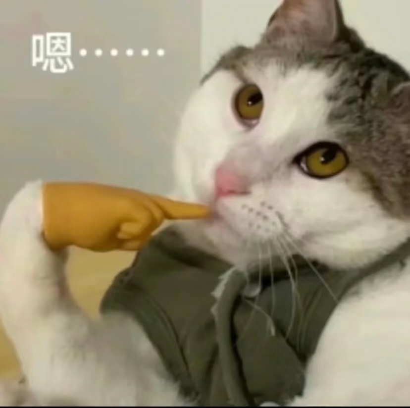 我感觉我是魔怔了，昨晚做梦开到了小鹏的VLA 2代模型，行车是真的丝滑，就是遇到