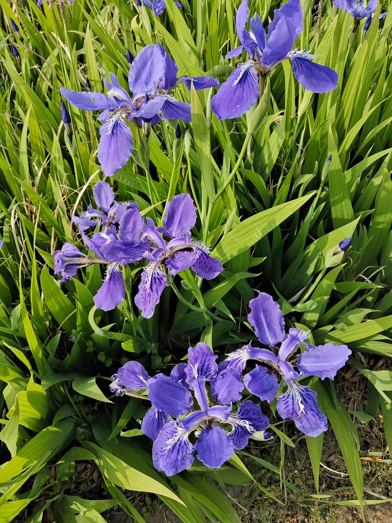 好几天没有联系上我的姐姐了，我有点儿放心不下，不知道她生活的好不好，最近在忙什么