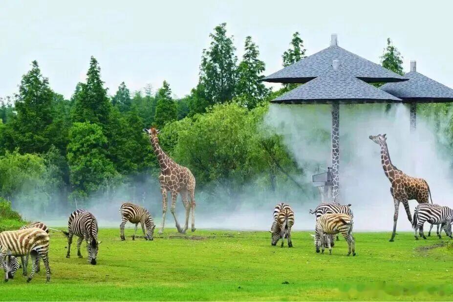 出行游玩好时机来啦！宁波近百家文旅业态集体放价，福利力度超大超多景区免票、一元畅