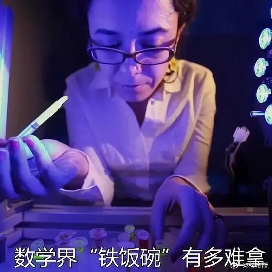 《已八次夺菲奖的IHES数学终身教授，全球仅五人，全是顶级大师》播放量：6597
