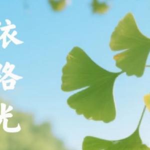 阳光信用  愿你，日出有彩，月升有华。从此，顺心顺意，一路绚烂。愿你，醒时有笑，
