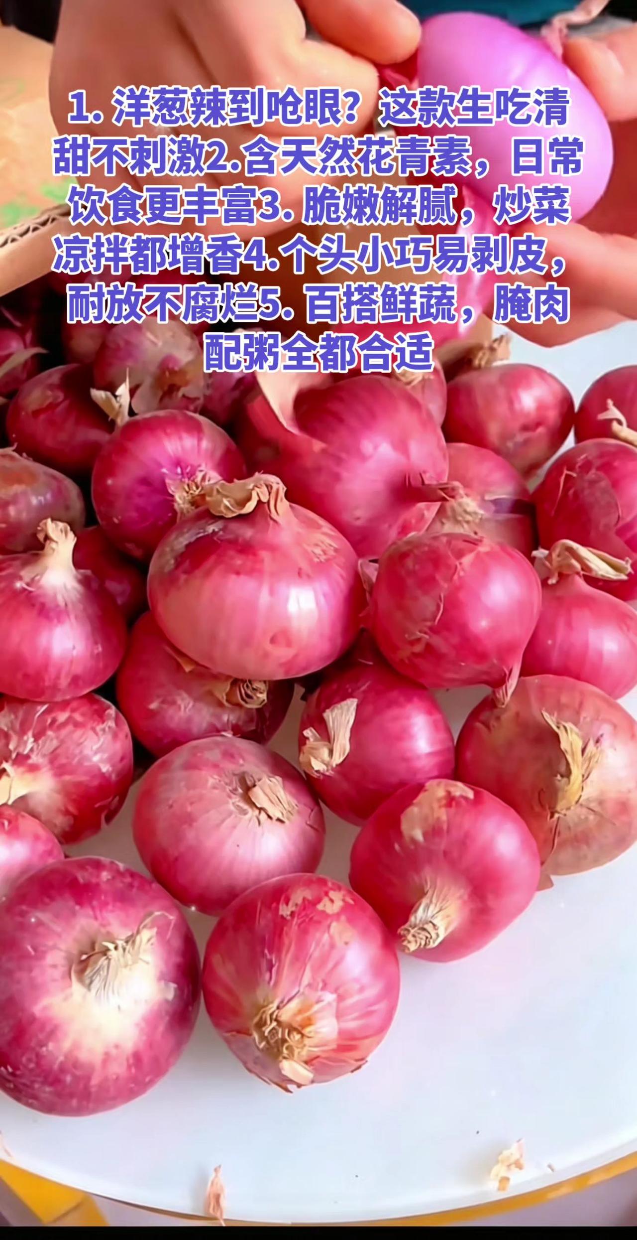 1. 吃洋葱总呛喉流泪？紫皮迷你水果小洋葱生吃脆甜不辣小圆葱凉拌配菜水果洋葱 紫