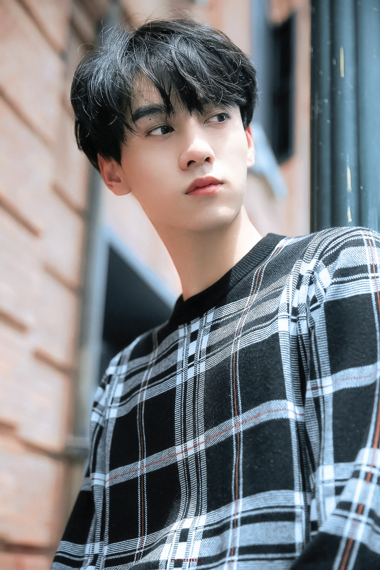 田栩宁.🎞️📀 