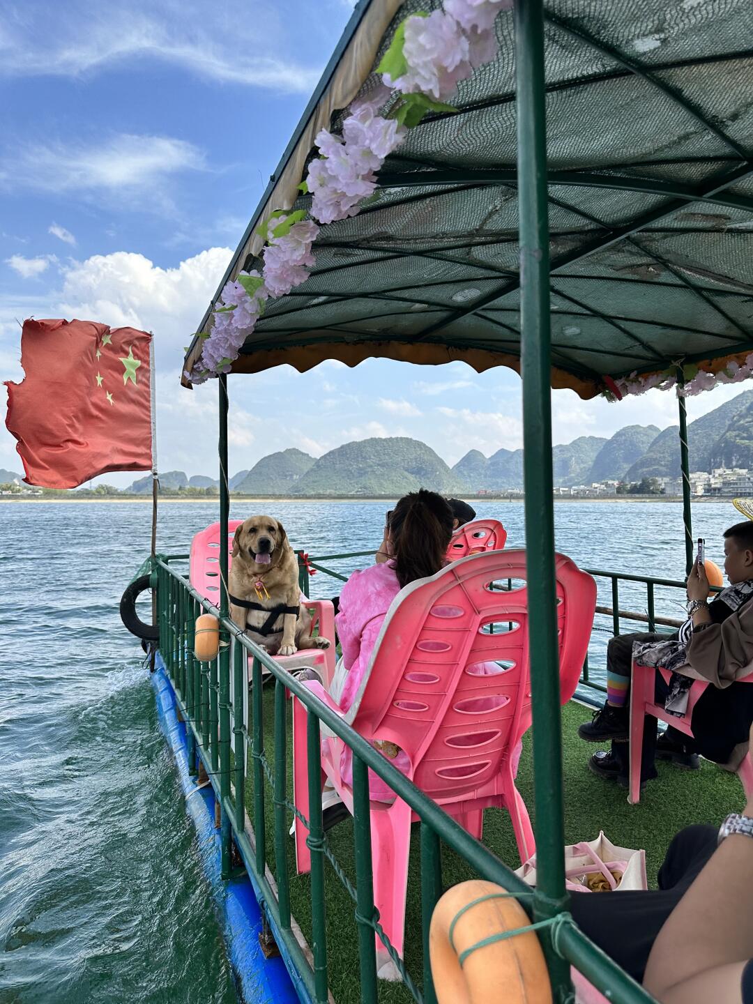 今天是小狗船长带我们出行